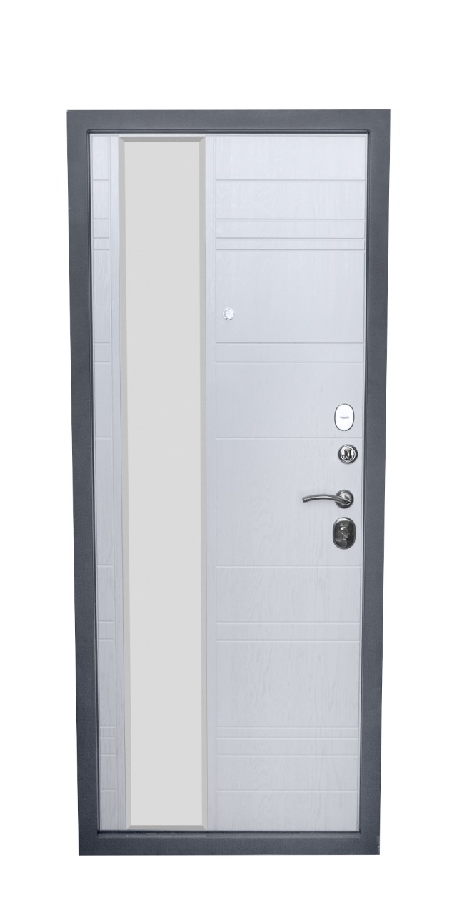 Дверь мет. Премьер "Альберо блэк" - вид сзади